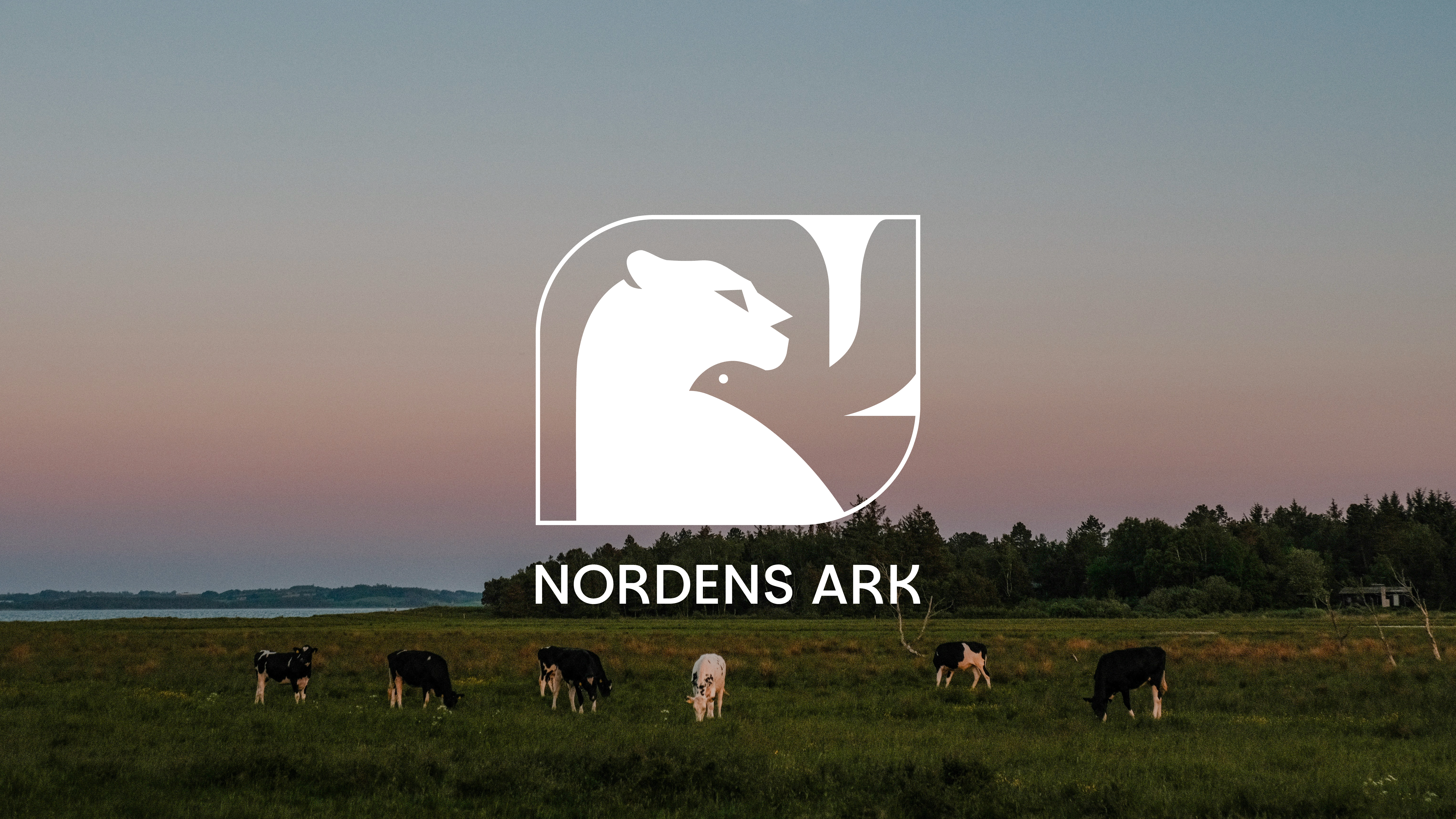 Visuell presentation av Nordens Ark-identiteten